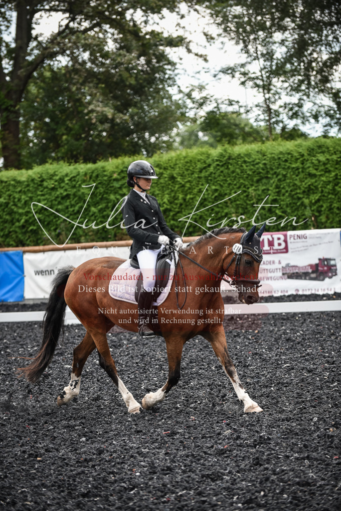 DSC_4487 | Pferde- und Turnierfotografie in Westsachsen. Pferdeportraits, Auftragszeichnungen und intuitive Kunst.