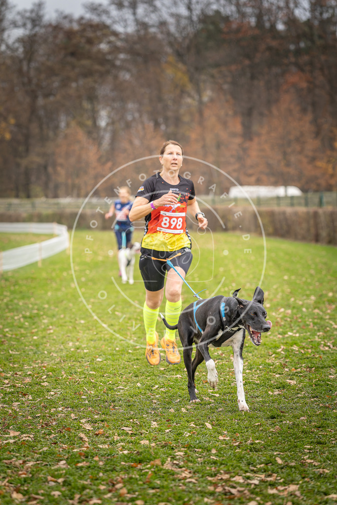 CaniXpix_DV3A6865 | Hundefotografie, Tierfotograf, Pfotenfotografie, Fotoshooting Hund, Hunde Portrait, Hundesport, Hundeportraits, Heideshooting, Hunde, Sportfotograf, Hundefotograf, Turnierhundsport, THS,  - Realisiert mit Pictrs.com