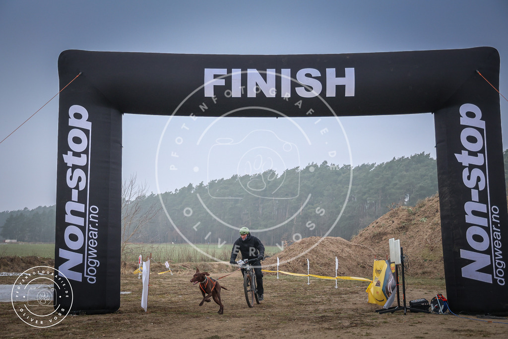 Pfotenfotografie_0L8A2481 | Hundefotografie, Tierfotograf, Pfotenfotografie, Fotoshooting Hund, Hunde Portrait, Hundesport, Hundeportraits, Heideshooting, Hunde, Sportfotograf, Hundefotograf, Turnierhundsport, THS,  - Realisiert mit Pictrs.com