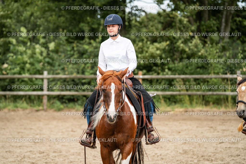 DSC04031 | Pferdegrafie