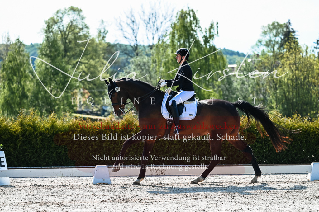 20230513_JK-Röhrsdorf-10-0154 | Pferde- und Turnierfotografie in Westsachsen. Pferdeportraits, Auftragszeichnungen und intuitive Kunst.