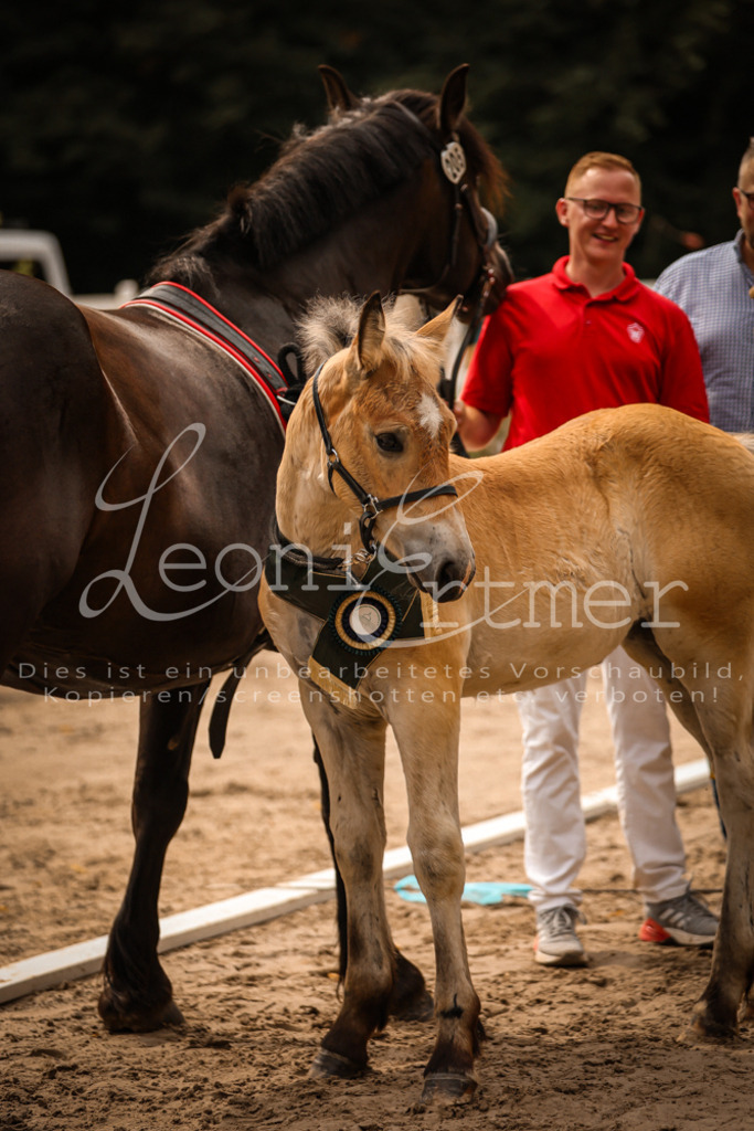 SaSF00147 | Leoni Ertmer Photography - Realisiert mit Pictrs.com