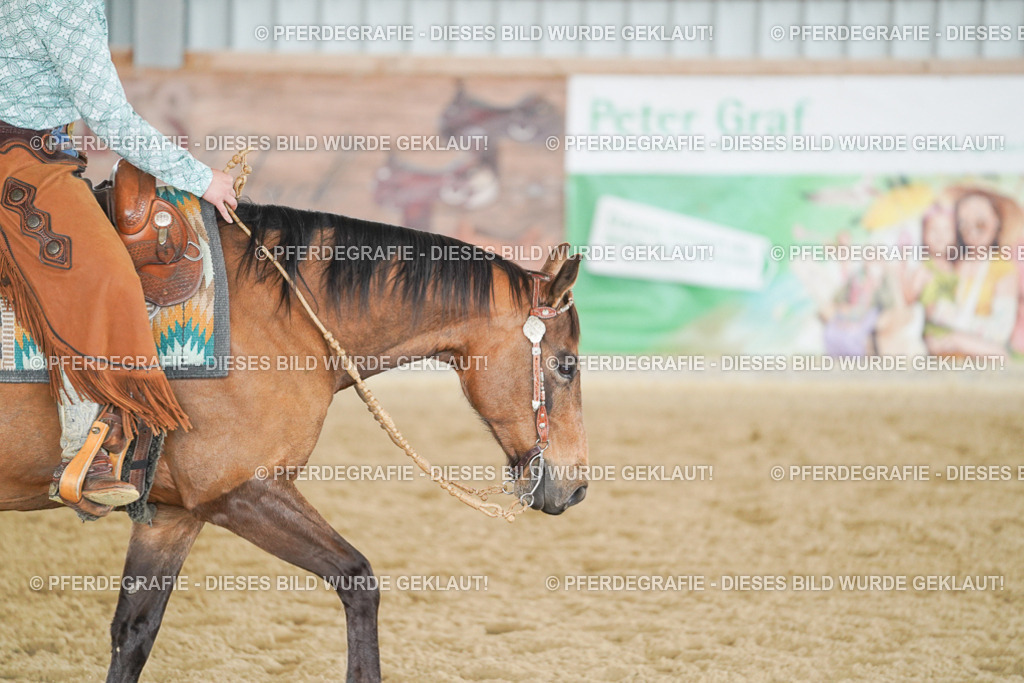 DSC04094 | Pferdegrafie