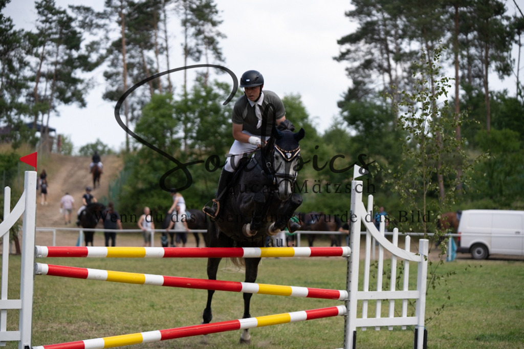 A7V07483 | Pferdefotograf