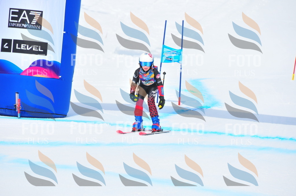 DSC_1812 | holidayphoto