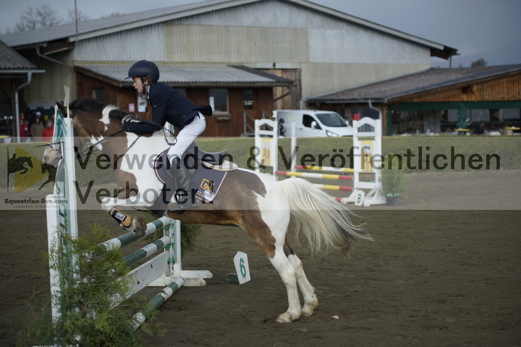 _DSC8527 | equestrian-live-com