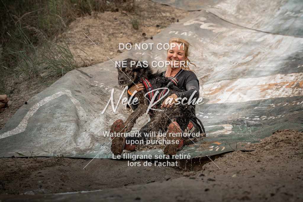 nelerasche_sa1500-1530_50 | nelerasche