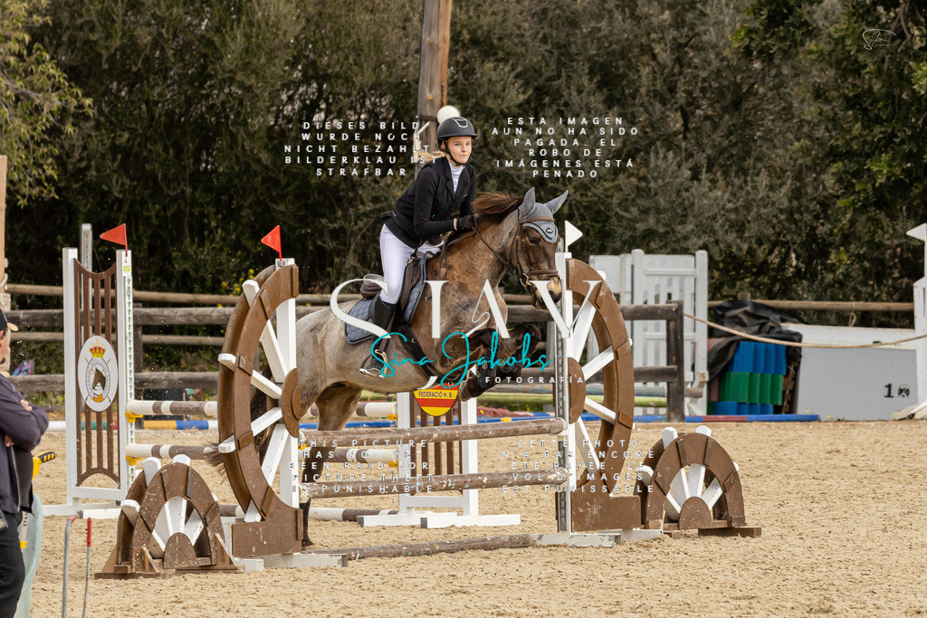 IMG_4521 | s-jay-photography - Realisiert mit Pictrs.com