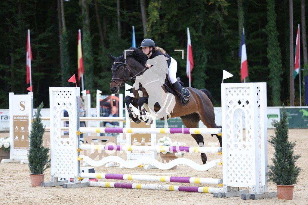 0P6A7162 | Willkommen bei Brunnmayr - Design & Fotografie – Ihrem Spezialisten für Reitturniere und Pferdeveranstaltungen in Oberösterreich, Salzburg und Bayern! Seit über 17 Jahren sind wir leidenschaftlich dabei.