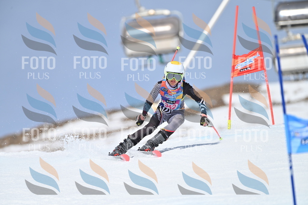 BGV_3476 | holidayphoto