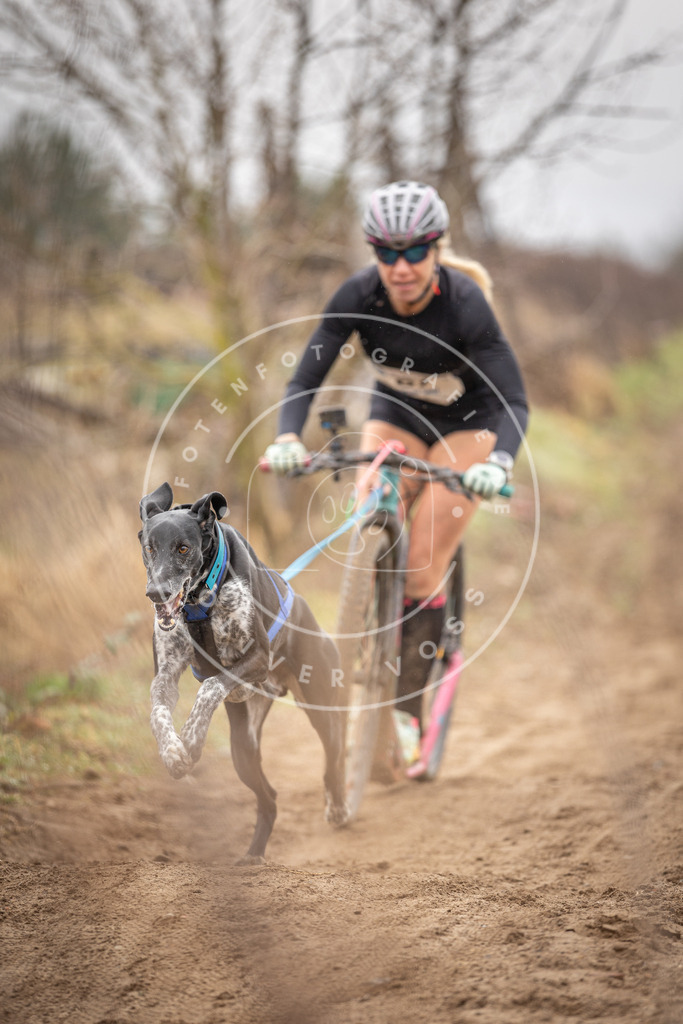 DV3A9568 | Hundefotografie, Tierfotograf, Pfotenfotografie, Fotoshooting Hund, Hunde Portrait, Hundesport, Hundeportraits, Heideshooting, Hunde, Sportfotograf, Hundefotograf, Turnierhundsport, THS,  - Realisiert mit Pictrs.com
