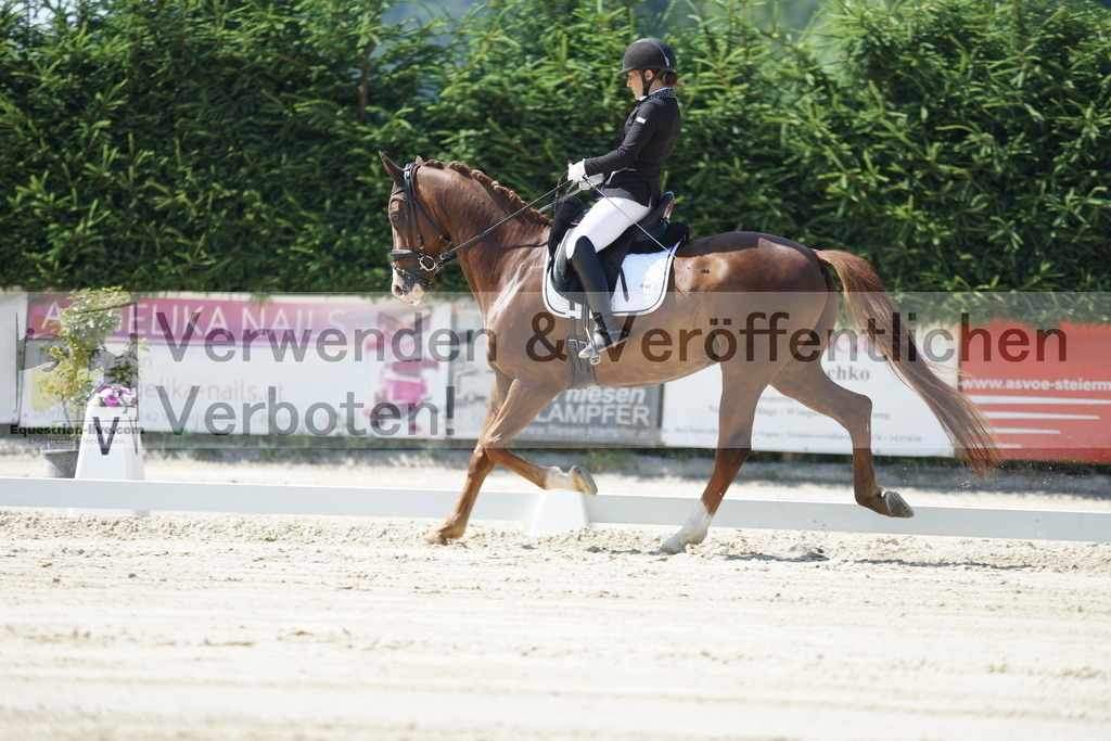DSC02287 | equestrian-live-com