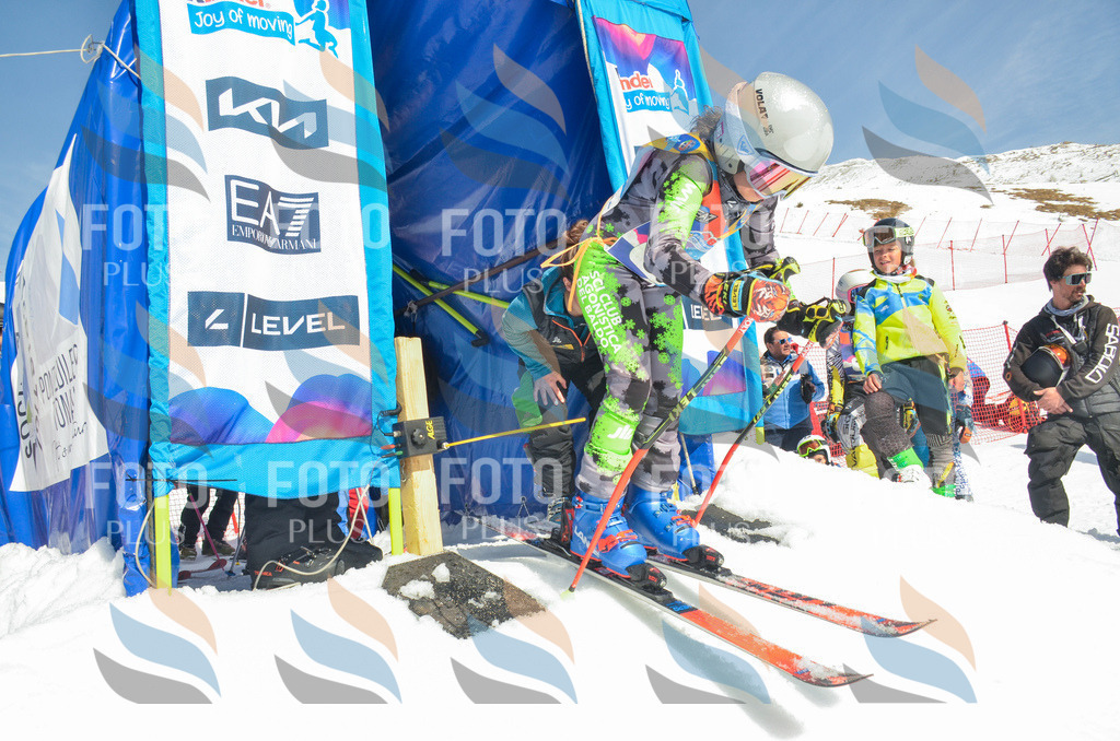 _ELE5613 | holidayphoto