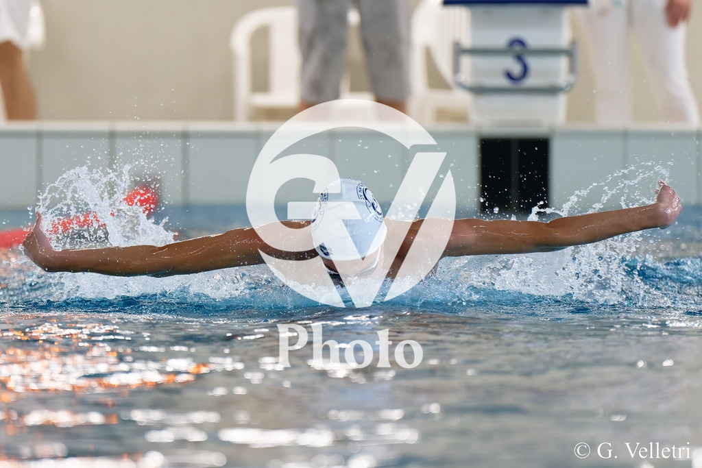 DSC_8542 | Velletri Photo