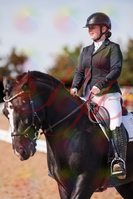 2026_10_03_Siefer-Hof_131854_Z81_67448885 | Professionelle Reitsport-, Turnier- und Eventfotografie von Robert Broda. Galerien mit ausgewählten und bearbeiteten Bildern direkt online ansehen und bestellen.