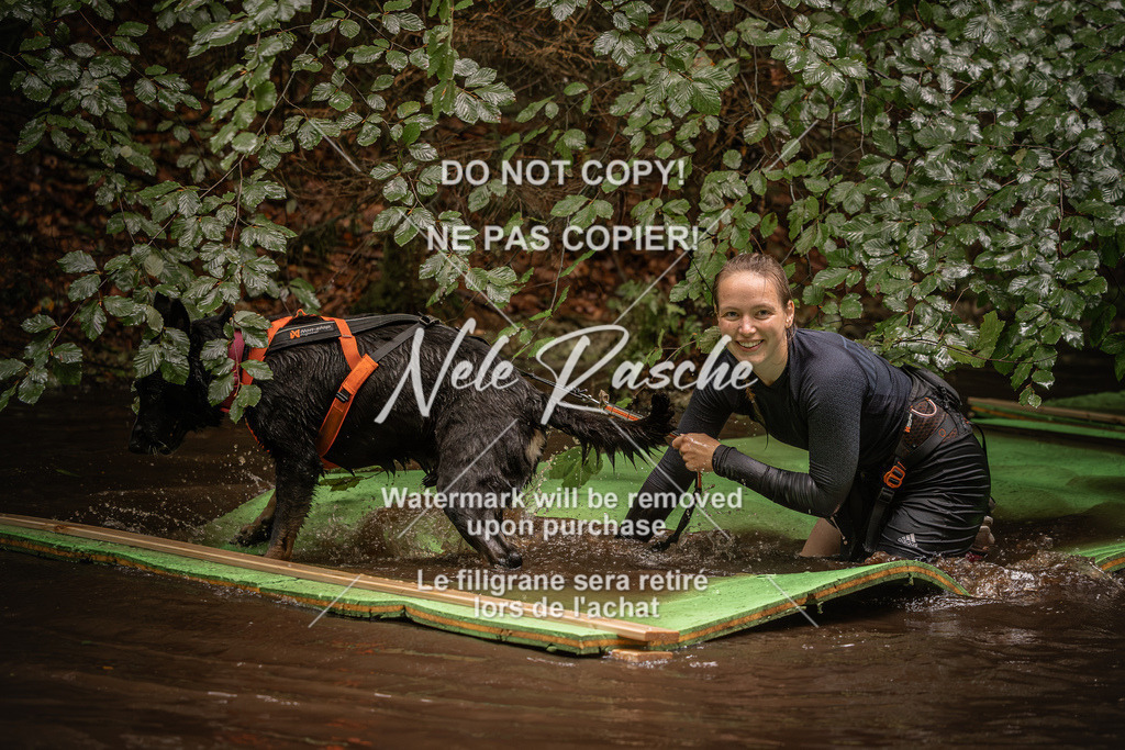 nelerasche_Wingst_Sa1330-1400_288 | nelerasche