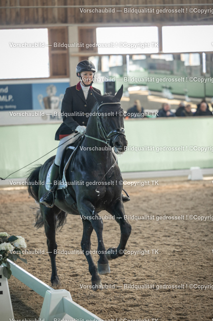 _D5A8496 | Emotionale Pferde- & People-Fotografie rund um Heidelberg, Leimen & Umgebung. Natürliche Fotos von Pferd, Mensch & Familie. Jetzt Termin sichern!