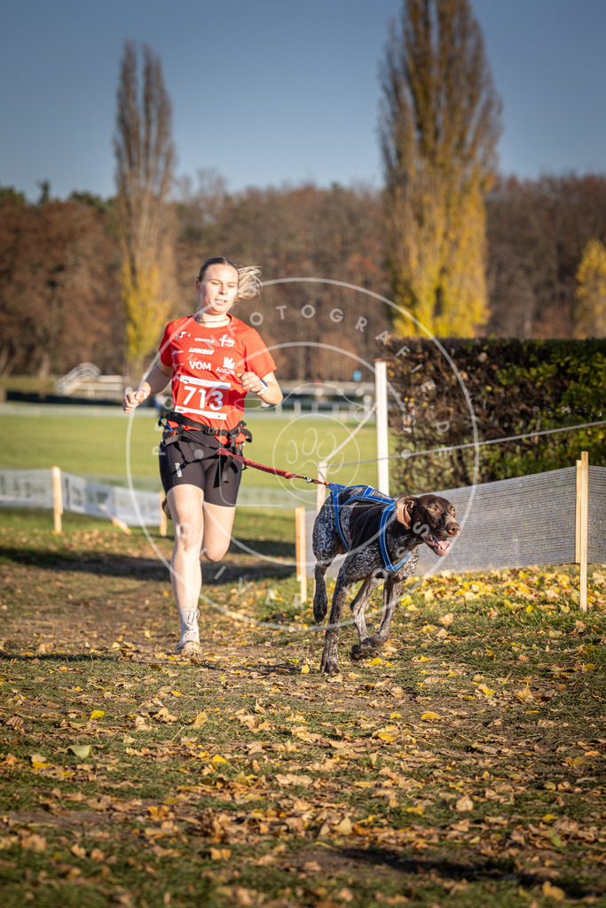 CaniXpix_DV3A1699 | Hundefotografie, Tierfotograf, Pfotenfotografie, Fotoshooting Hund, Hunde Portrait, Hundesport, Hundeportraits, Heideshooting, Hunde, Sportfotograf, Hundefotograf, Turnierhundsport, THS,  - Realisiert mit Pictrs.com