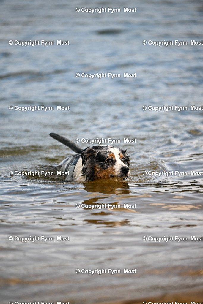 DSC_6817 | Hallo und herzlich Willkommen auf meiner Shop-Seite Fynn Most.

Ich wünsche Dir viel Spaß beim stöbern durch die Bilder, wenn Du Fragen hast oder Bilder vermisst, kannst du mir gerne eine Nachricht schreiben. - Realisiert mit Pictrs.com