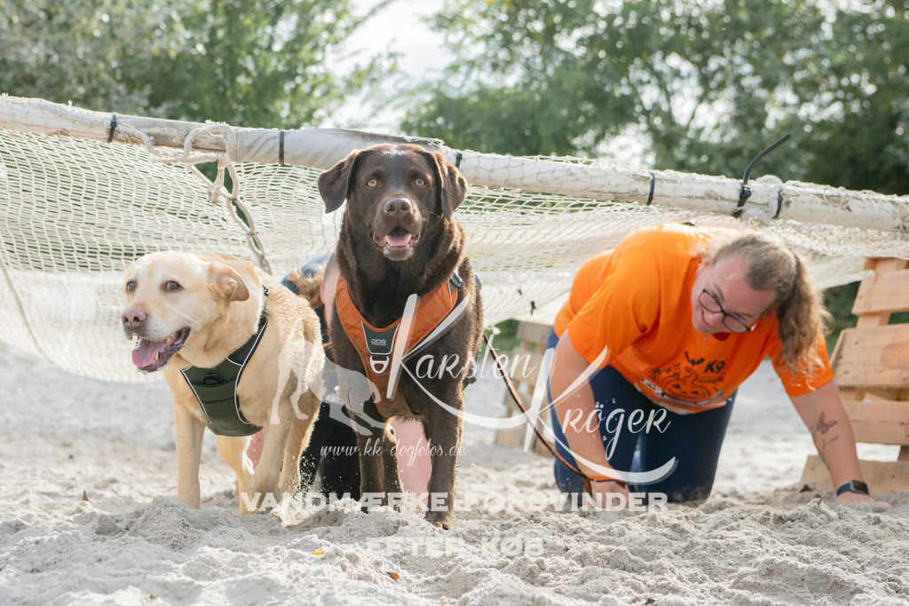 1336_ZZ97953 | kk-dogfotos