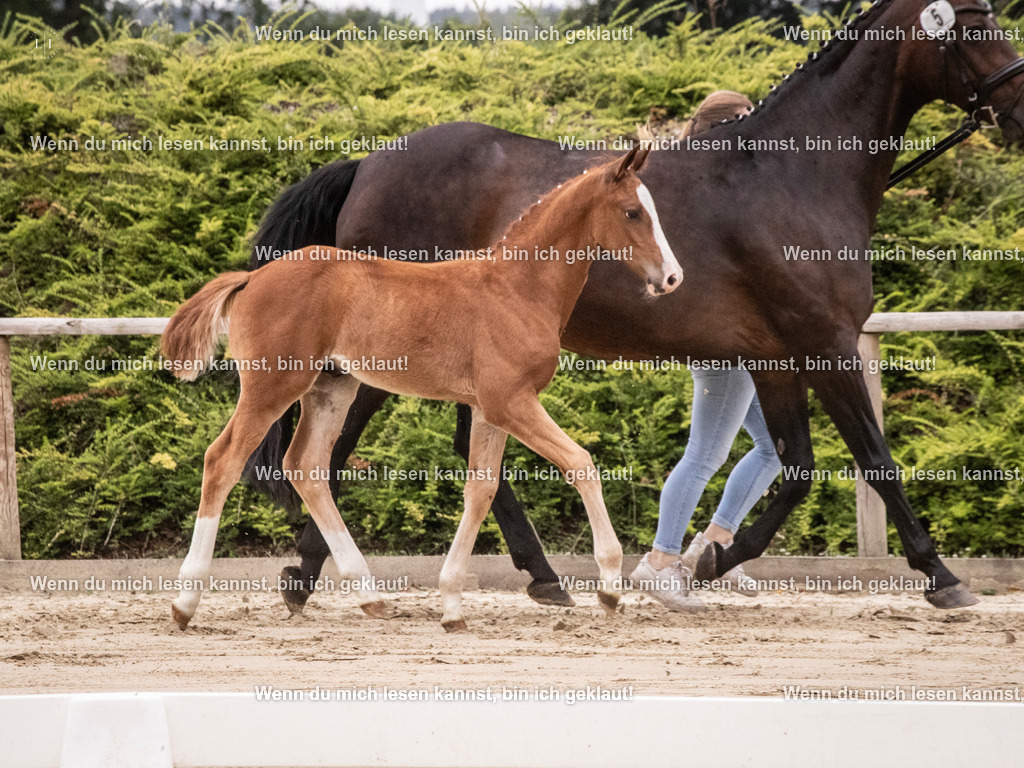 A10I9887 | photographylinaismer - Realisiert mit Pictrs.com