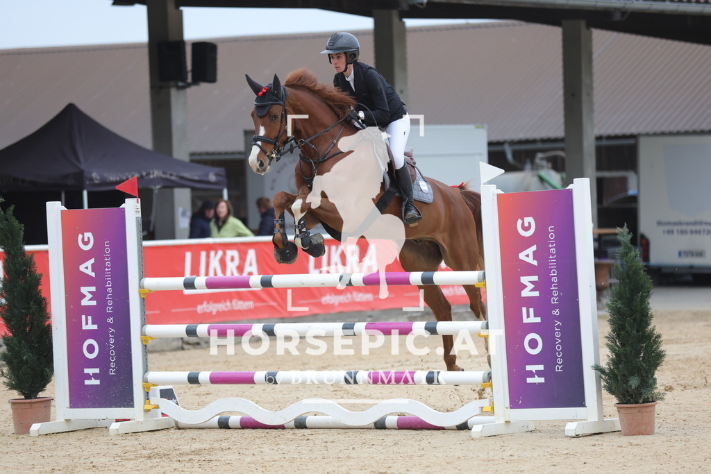 0P6A3129 | Willkommen bei Brunnmayr - Design & Fotografie – Ihrem Spezialisten für Reitturniere und Pferdeveranstaltungen in Oberösterreich, Salzburg und Bayern! Seit über 17 Jahren sind wir leidenschaftlich dabei.