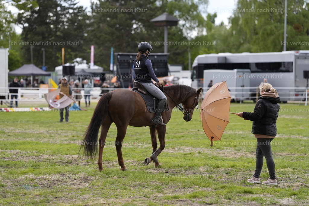 PI26_Show_BTS_StoibphotographyPI26_Show_BTS_Stoibph_DSC0937.JPG.JPG | working equitationturnier fotograf videograf stoibphotography marixx film working equitation deutschland reitsport turnierfotografie eventfotografie equestrian events