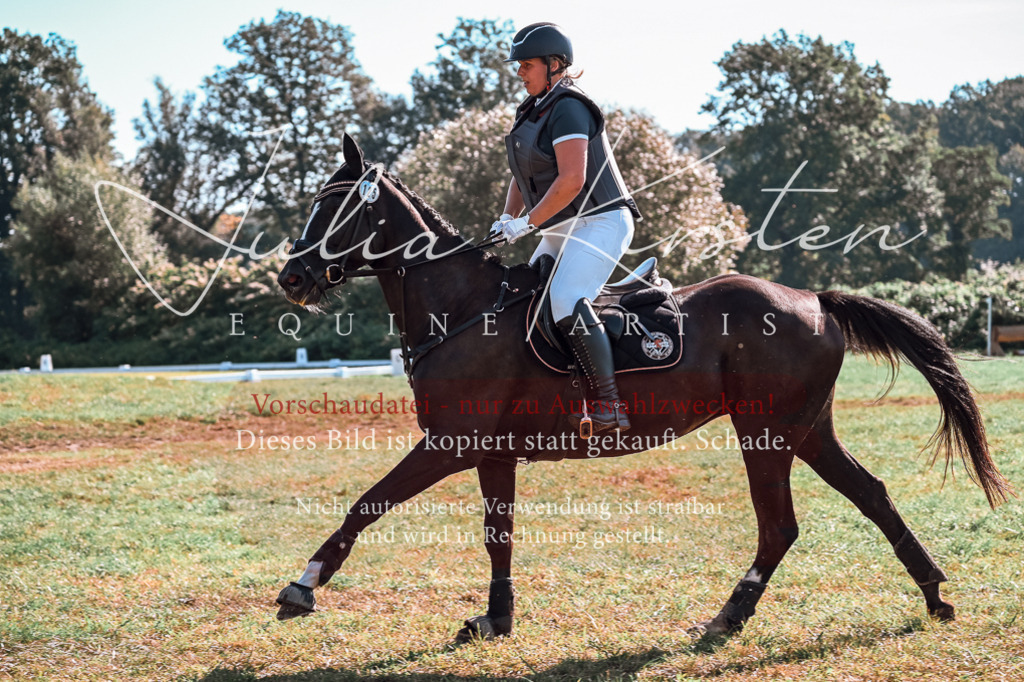 DSC_0580 | Pferde- und Turnierfotografie in Westsachsen. Pferdeportraits, Auftragszeichnungen und intuitive Kunst.