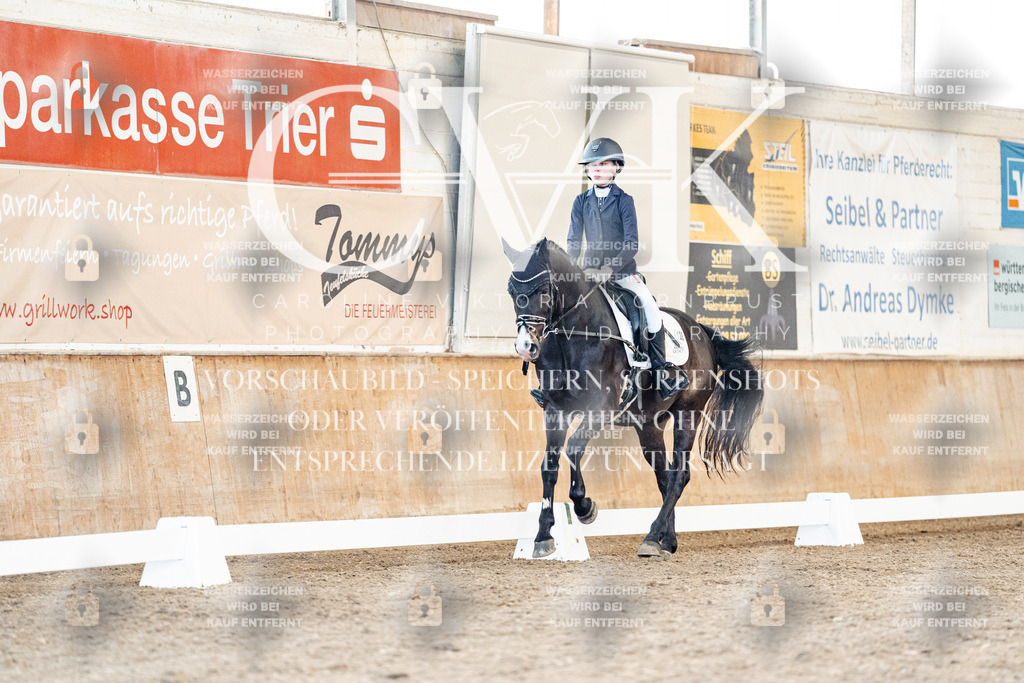 CK908245 | Turnierfotografie Pferdefotografie Trier Rheinland-Pfalz Pferdesport Reitsport Tierfotografie Sportfotografie Pferdevideo Pferdevideografie Equestrianvideography equestrianphotography  - Realisiert mit Pictrs.com