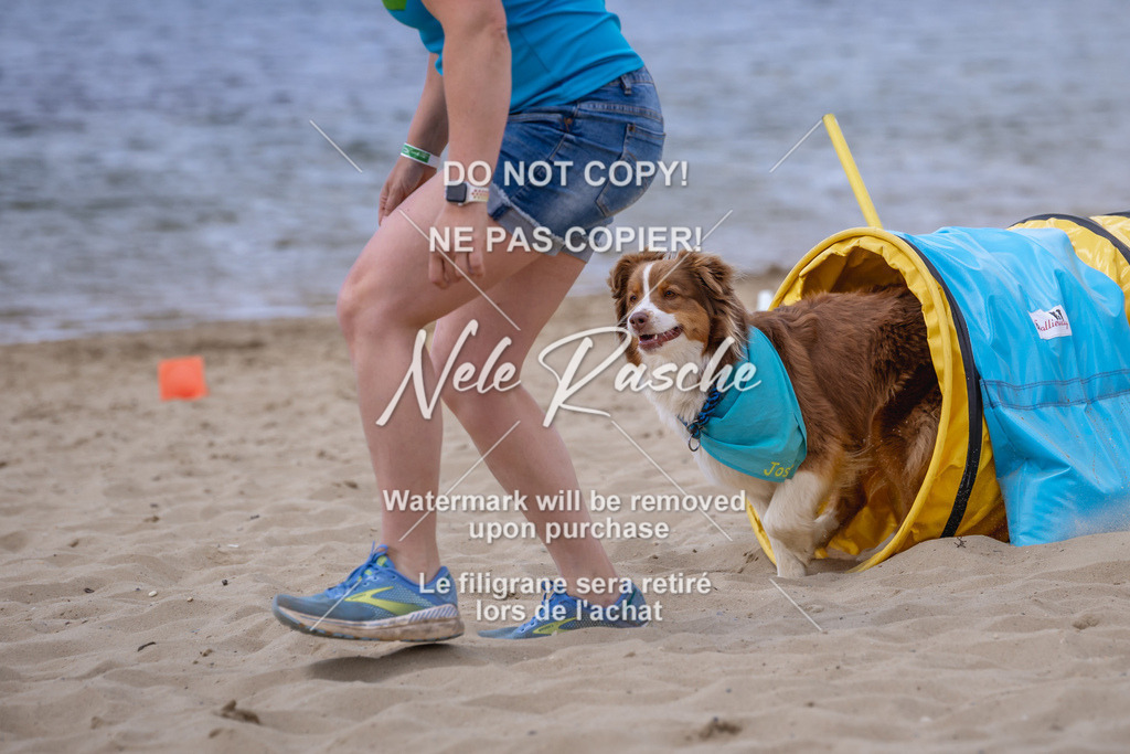 NR__2238 | nelerasche