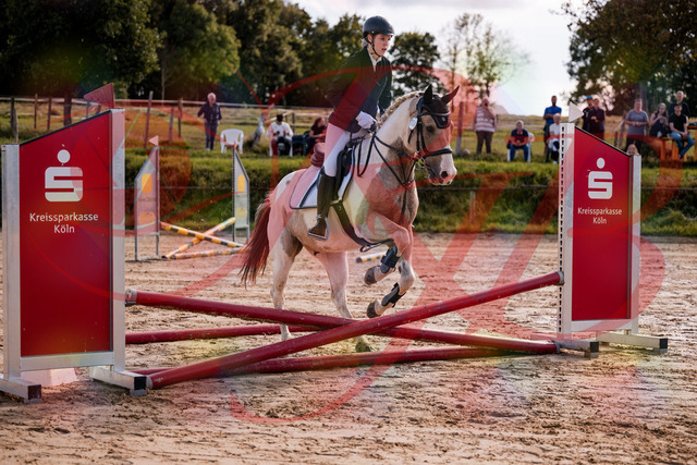 2026_10_03_Siefer-Hof_144218_Z81_14923569 | Professionelle Reitsport-, Turnier- und Eventfotografie von Robert Broda. Galerien mit ausgewählten und bearbeiteten Bildern direkt online ansehen und bestellen.