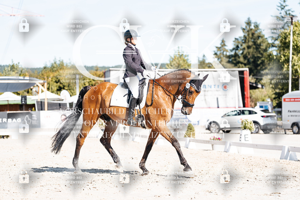 CK908153 | Turnierfotografie Pferdefotografie Trier Rheinland-Pfalz Pferdesport Reitsport Tierfotografie Sportfotografie Pferdevideo Pferdevideografie Equestrianvideography equestrianphotography  - Realisiert mit Pictrs.com