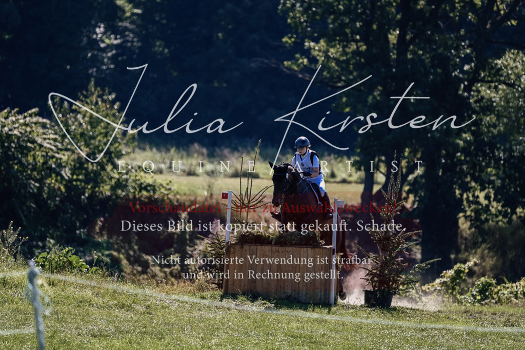 DSC_1486 | Pferde- und Turnierfotografie in Westsachsen. Pferdeportraits, Auftragszeichnungen und intuitive Kunst.