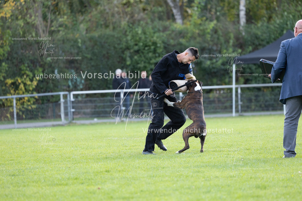 _16A6507 | Einzigartige Fotos von Hunden & Menschen –Actionfotos, Portraits, Vereinsaufnahmen & Paarshootings – authentisch, lebendig & mit Herz.