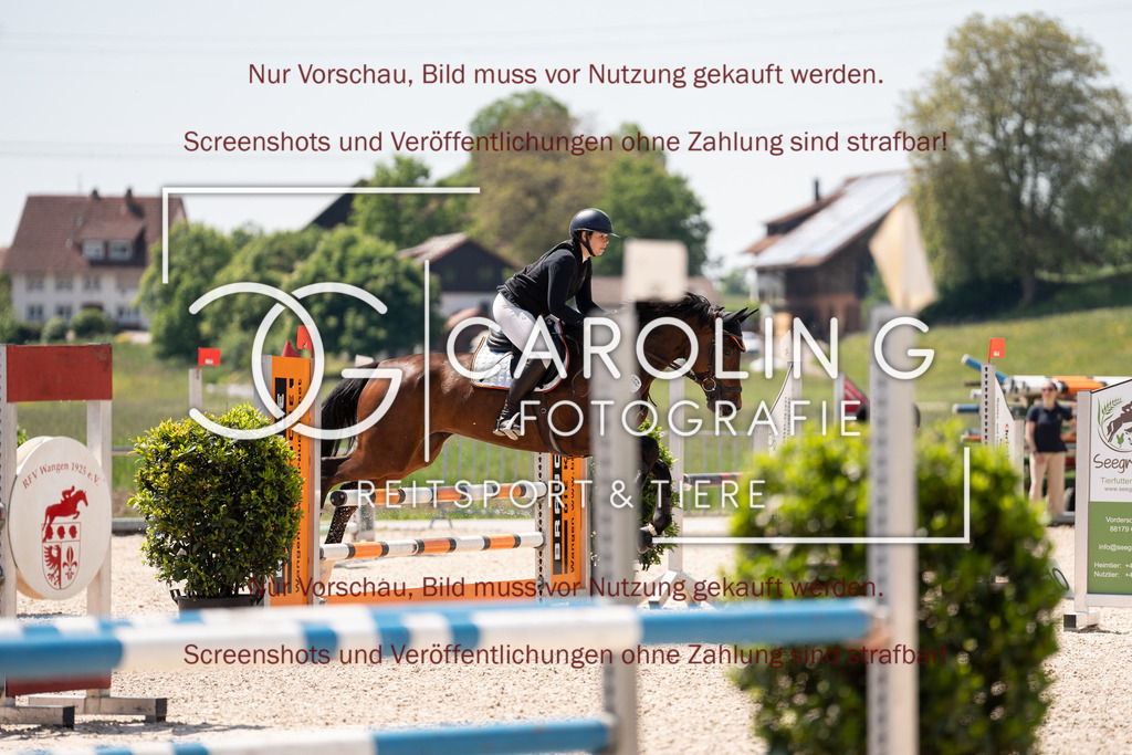 DSC07901 | Turnierfotografin Carolin Gieschke, Turnierfotografie Carolin G Fotografie, Turnierfotos Kirchheim/Teck, Esslingen, Stuttgart, Bodenseekreis