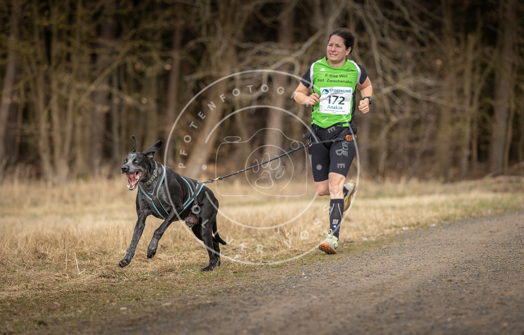DV3A5397 | Hundefotografie, Tierfotograf, Pfotenfotografie, Fotoshooting Hund, Hunde Portrait, Hundesport, Hundeportraits, Heideshooting, Hunde, Sportfotograf, Hundefotograf, Turnierhundsport, THS,  - Realisiert mit Pictrs.com