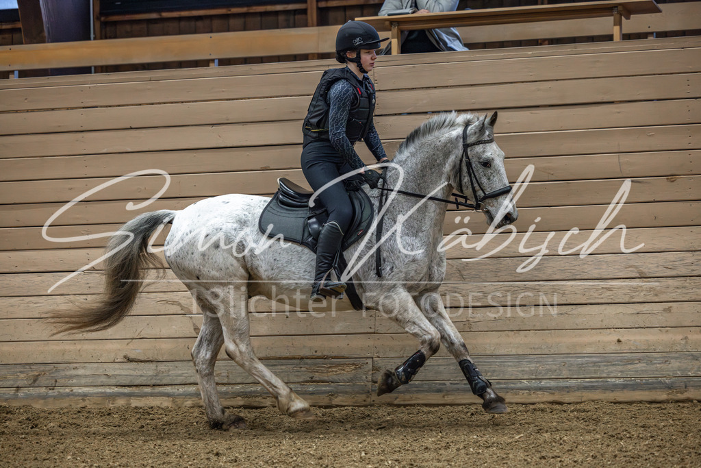 20260222-_3LI0658 | Tierfotografie Pferde, Hunde, Katzen, Haustiere.
Turnierfotografie Reitturniere, Reiten, Springreiten, Dressur in Hanau, dem Main-Kinzig-Kreis und dem Rhein-Main- Gebiet um Frankfurt