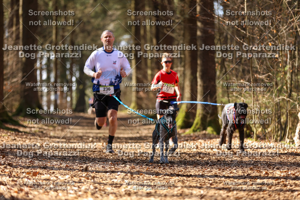 Dog Paparazzi - VCC26-1171 | Dog Paparazzi Jeanette Grottendiek Fotografie & Videografie - Realisiert mit Pictrs.com