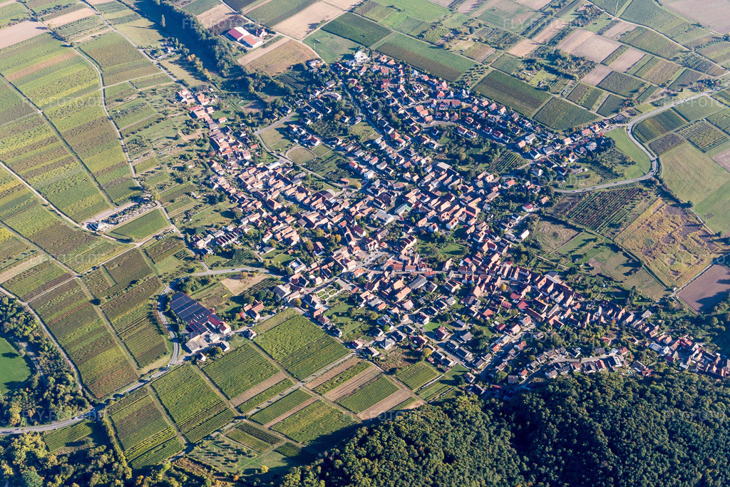 Luftbild: Ortsansicht der Straßen und Häuser der Wohngebiete in Oberotterbach im Bundesland Rheinland-Pfalz in Deutschland. Foto: IMG_095284.jpg vom 16.10.2016 durch Werner Riehm/FLY-FOTO.de