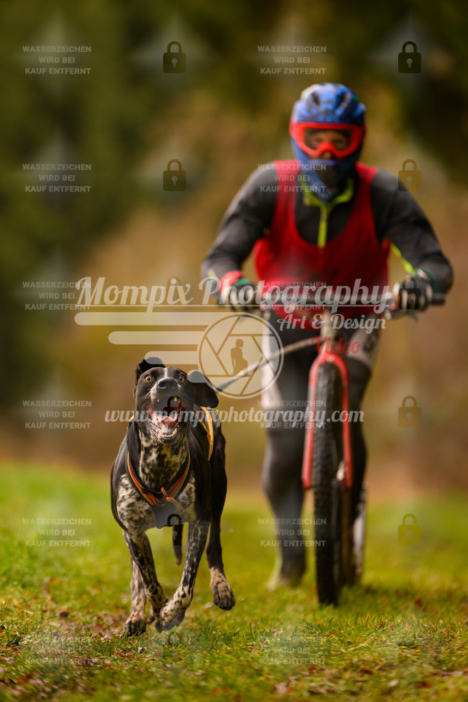 MompixPhotography_2SSTSSBW_2025_SO_Scooter-8 | PayLife