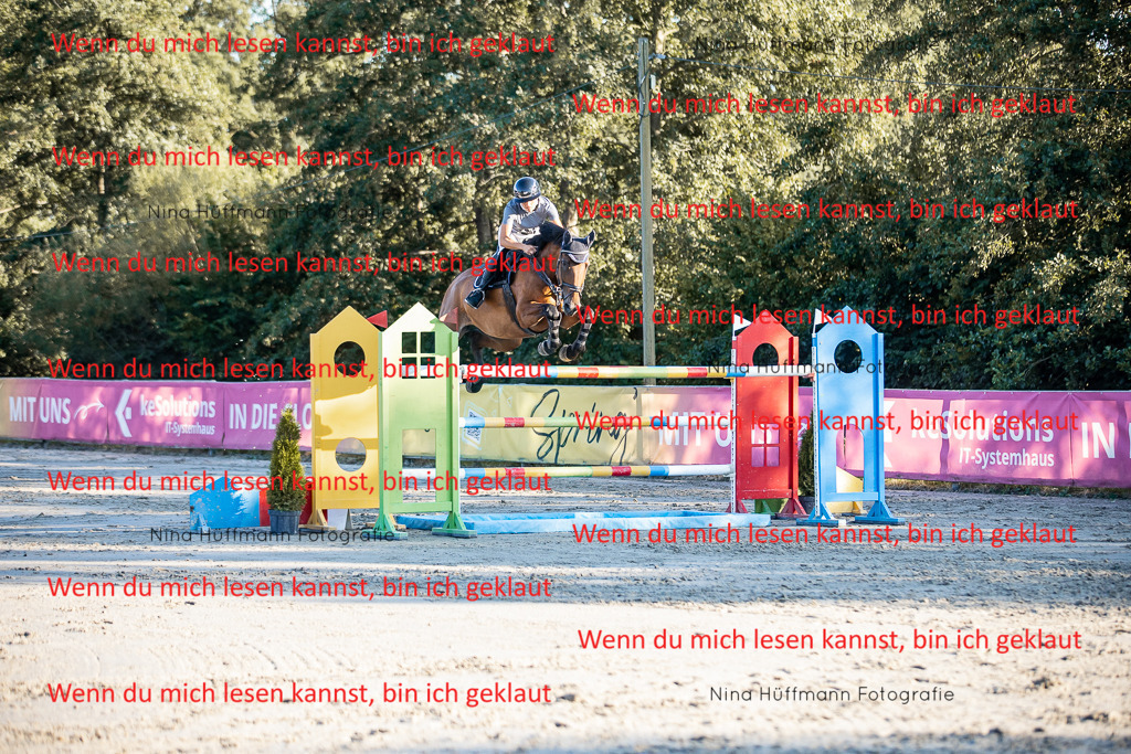 BK1A8840 | Turnierbilder Turnierfotos Nina Hüffmann Turnierfotografie Pferdefotografie Tierzeichnung Haustierzeichnung Pferdezeichnung Hundezeichnung Videograf  - Realisiert mit Pictrs.com