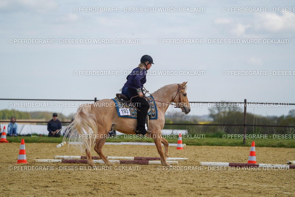 DSC05099 | Pferdegrafie