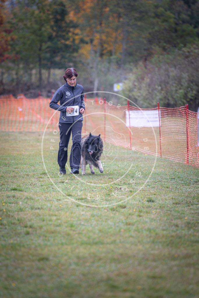 Pfotenfotografie_DV3A9263 | Hundefotografie, Tierfotograf, Pfotenfotografie, Fotoshooting Hund, Hunde Portrait, Hundesport, Hundeportraits, Heideshooting, Hunde, Sportfotograf, Hundefotograf, Turnierhundsport, THS,  - Realisiert mit Pictrs.com