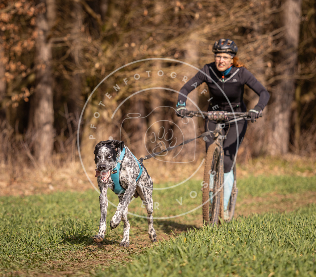DV3A6095 | Hundefotografie, Tierfotograf, Pfotenfotografie, Fotoshooting Hund, Hunde Portrait, Hundesport, Hundeportraits, Heideshooting, Hunde, Sportfotograf, Hundefotograf, Turnierhundsport, THS,  - Realisiert mit Pictrs.com