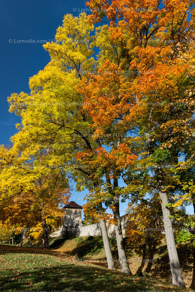 100494-3929 - Barockgarten Blankenburg | max. Bildgröße A2 | 300dpi - Realisiert mit Pictrs.com
