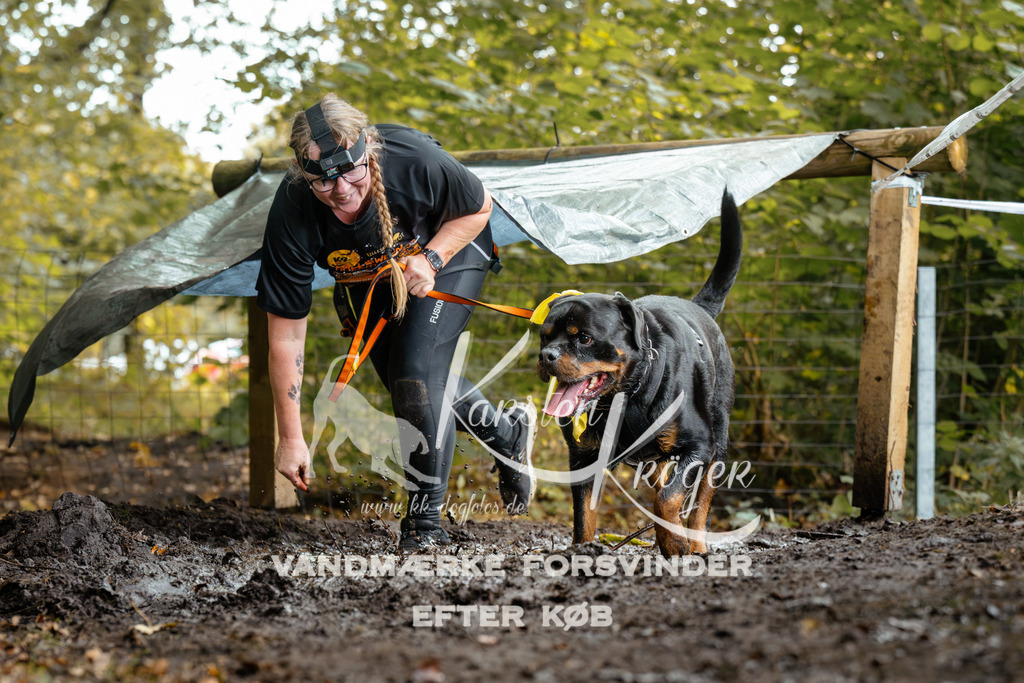 1431DZ6_2781Z6 | kk-dogfotos