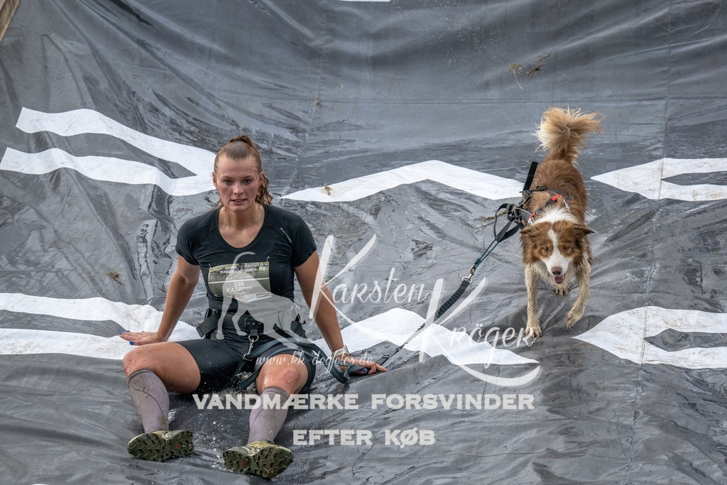 1209_ZZ94372 | kk-dogfotos