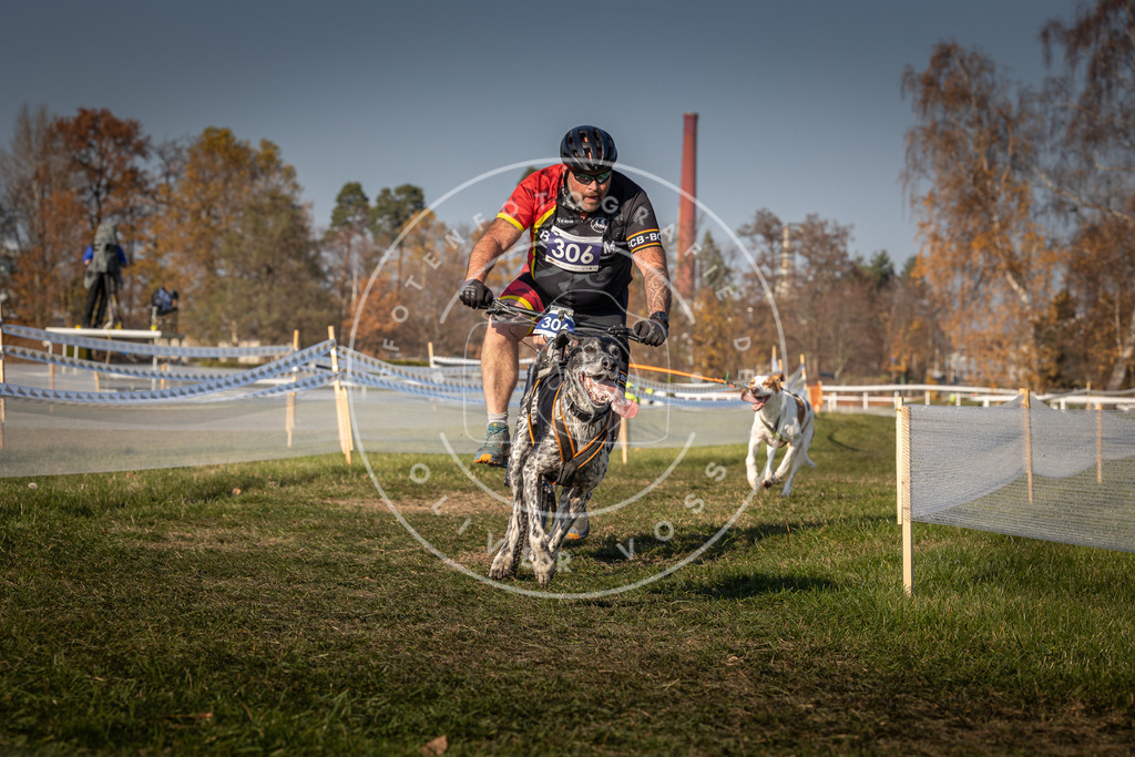 CaniXpix_0L8A8121 | Hundefotografie, Tierfotograf, Pfotenfotografie, Fotoshooting Hund, Hunde Portrait, Hundesport, Hundeportraits, Heideshooting, Hunde, Sportfotograf, Hundefotograf, Turnierhundsport, THS,  - Realisiert mit Pictrs.com