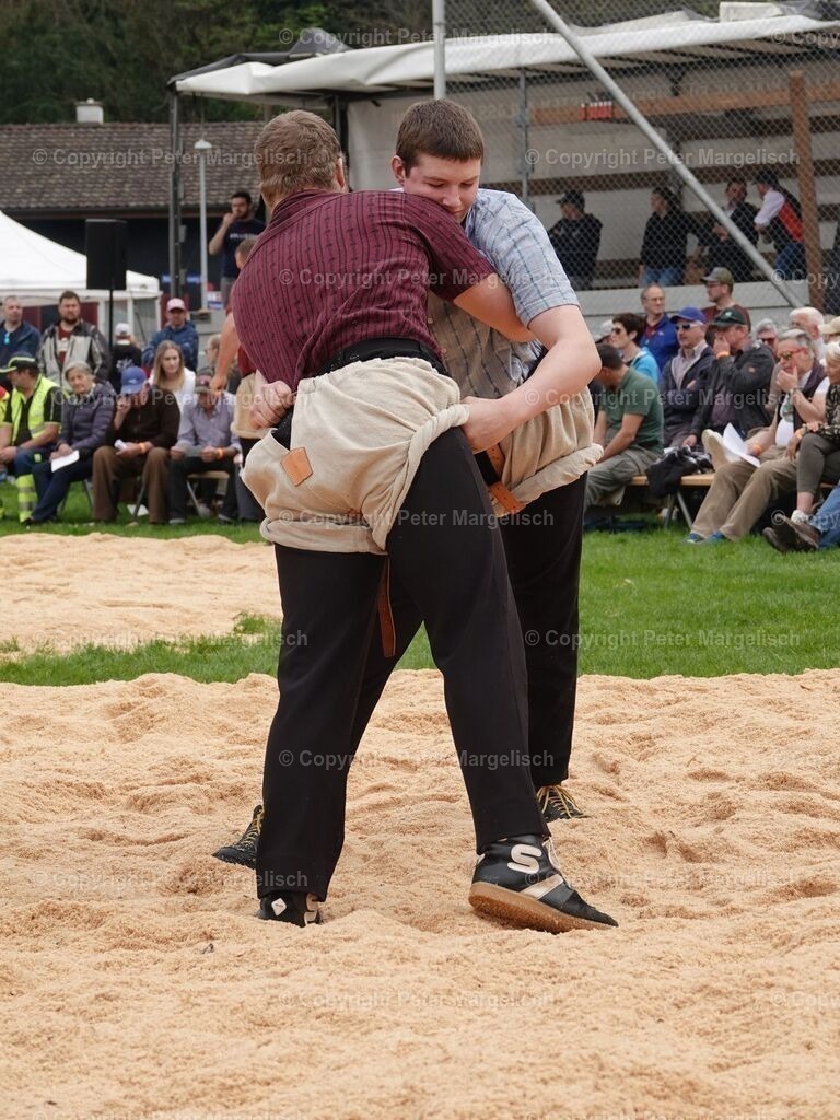 k-DSC06193 | Schwingen - Realisiert mit Pictrs.com