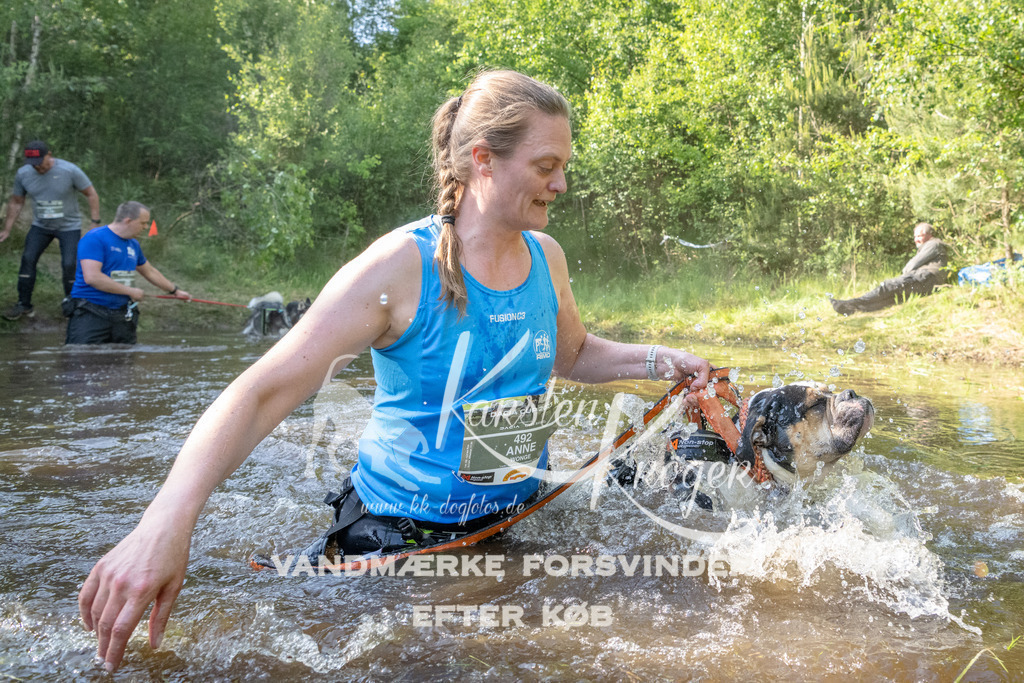 1737DKK992227 | kk-dogfotos